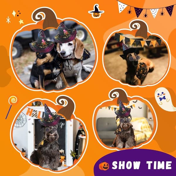 Halloween-kostumer til hunde, edderkoppe-troldmandshat og slipsesæt til hunde, KLB