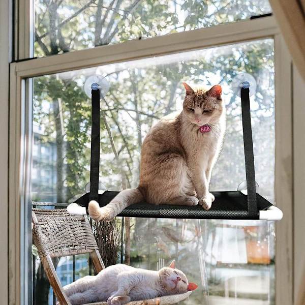 Kattfönsterhylla, katthängmatta förbättrad KLB
