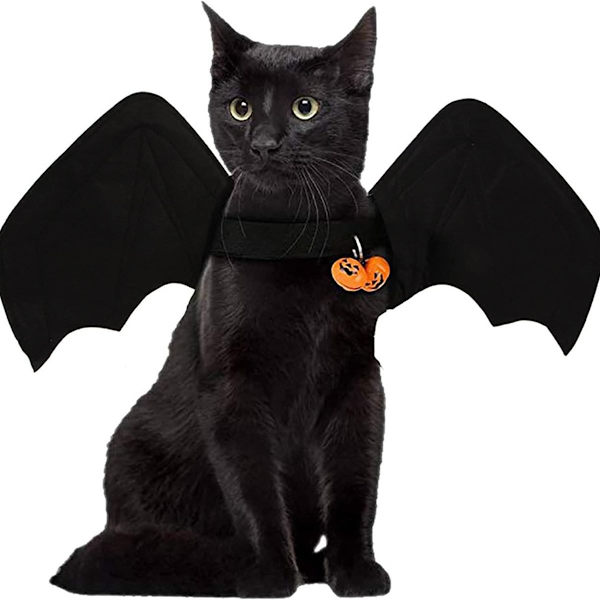 Halloween Katte- og Hunde Kostume Sæt, Kæledyr Flagermus Kostume, Vinger KLB
