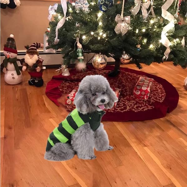Festive julegenser for små valper, søt stil 5