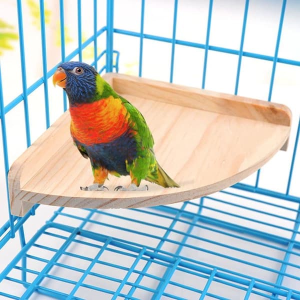 Fuglebur Stang Platform Stativ Træ til Små Dyr Papegøje Parakit Conure KLB