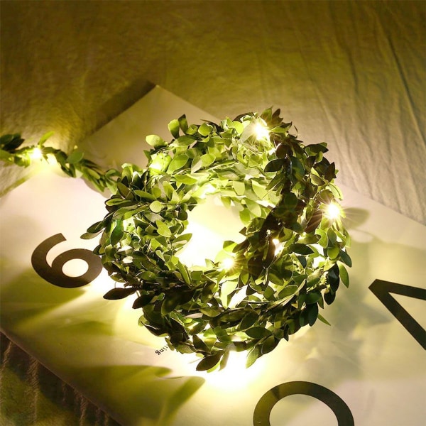 30 LED 3m/9,8ft USB-laddning rotting ljusslinga KLB