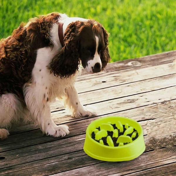 Decyam langsomt foderhundemad, interessant interaktivt hundemad, KLB