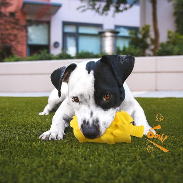 Hunde Squeaky Chew Toy til Aggressive Chewers Large Yellow KLB
