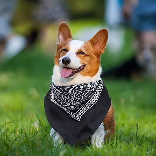 Bandanas(Svart), 12-pack Paisley Scarves,Huvudband,Näsdukar för Män och Kvinnor