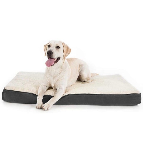 Ortopedisk avtagbar hundkudde - stor hundmatta 76X51X7,5 cm, hundsäng i skum med plysch överdrag, tvättbar hundmadrass
