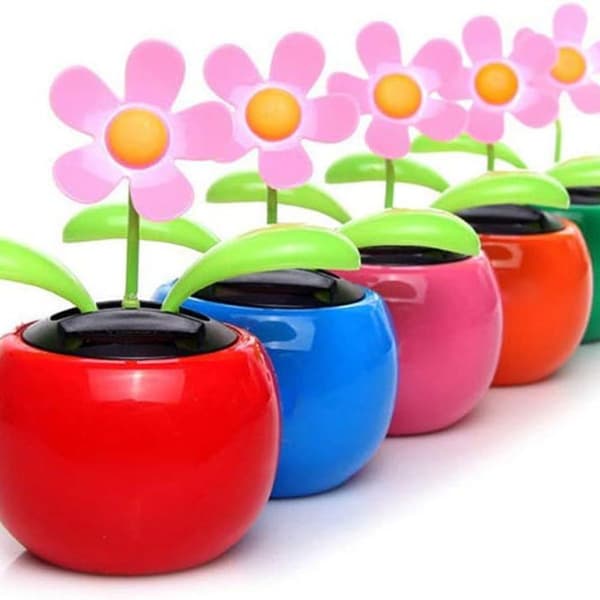 Solcellsblommiga, Solcellsblommiga, Solcellsblommiga KLB