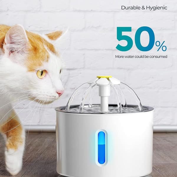 Kattevanddispenser Kattevanddispenser Rustfrit stål 2,4 liter