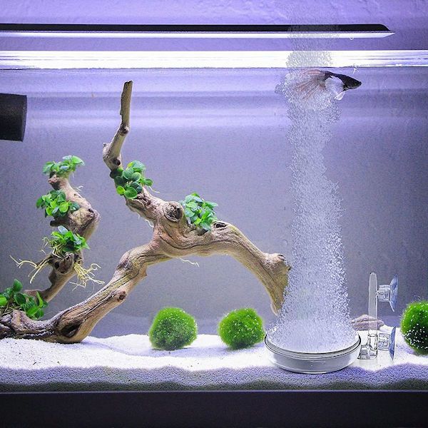 Akvarie Luftsten, Nano Luftsten Akvarium Lydløs Diffuser 6cm KLB