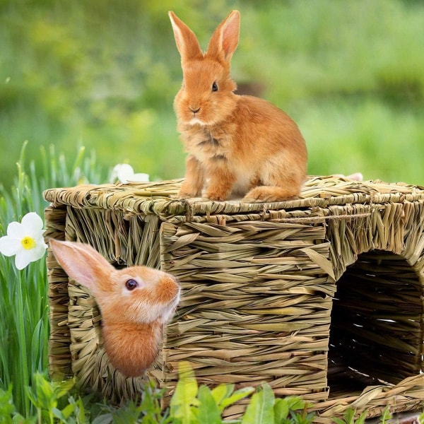 Bunny Hut, kanintyggleke, naturlig sammenleggbar håndvevd KLB