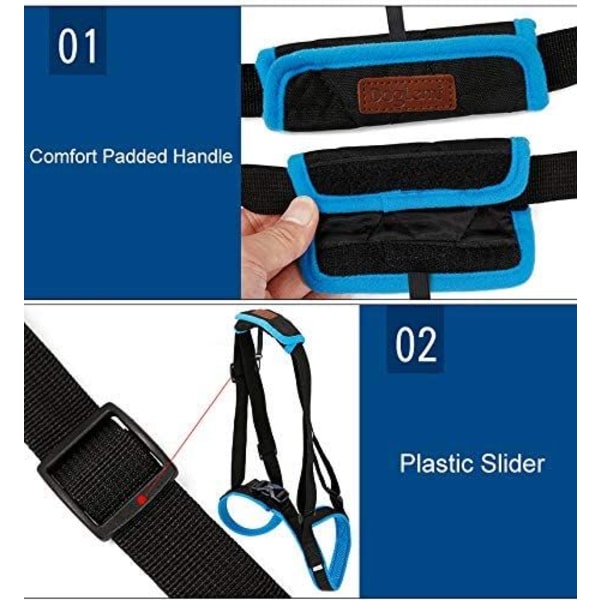 Blått hundestøttebelte (benomkrets 35-45 cm)- Et støttebelte for bakbena, hjelper til med å løfte bakbena, brukes til bakre støttebelte