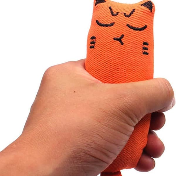 Katteleke med kattemynte