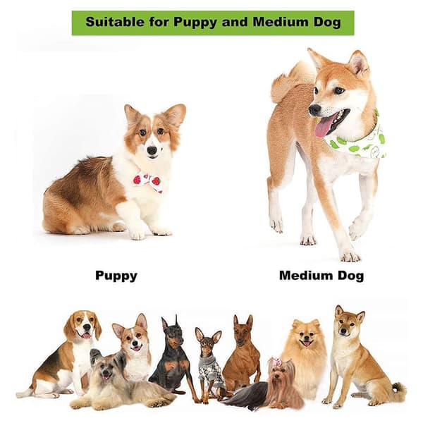 Reb Legetøj til Store Hunde, Hund Tyggelegetøj, Style 2, 9 Dele Sæt KLB