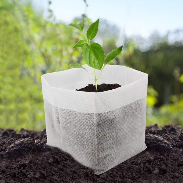 Planteposer Pakke med 100 9,8 x 11 tommer ikke-vævet stof
