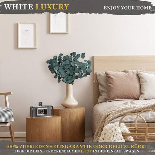 VIT LUXURY - Eucalyptus som torkade blommor EN blickfångare - varar för evigt