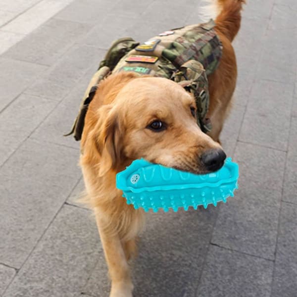 Tyggelegetøj, Robust Squeaking Interaktivt Hundestil 6 KLB