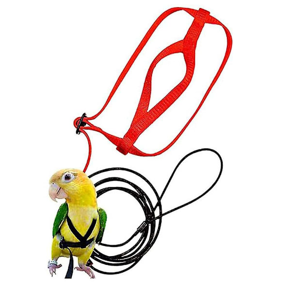 Justerbar fågelsele koppel papegoja anti-bit träningsrep utomhus flygande dragremmar band (XL) röd