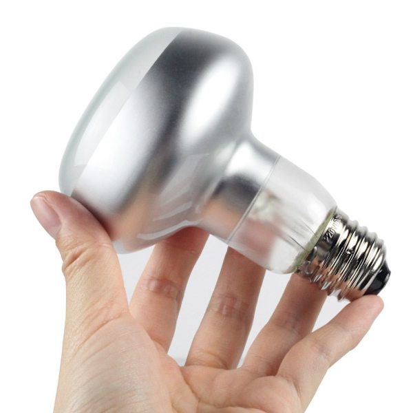 Intens Spotlampe til afslapning, 220v 60W kæledyrsvarmepære