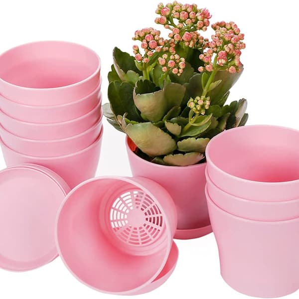 10-pack miniplantkrukor med pall