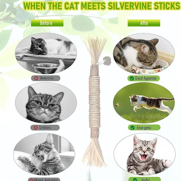 Katt tuggpinne, katt tandvård leksak, katt tuggpinne och 3PCS KLB
