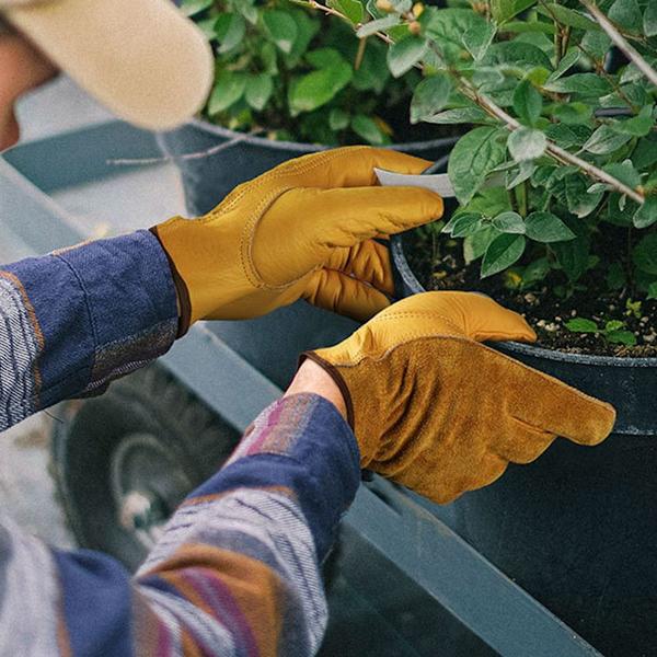 Havearbejde Handsker Mænd Kvinder Torn Sikker Rose Handsker Vandtæt Udendørs