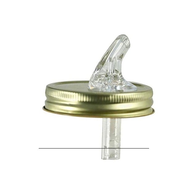 Fri flödande Mason Jar Pourer i guld