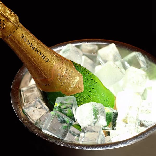 1,3L dobbeltlags isbeholder i rustfrit stål isterningbeholder med