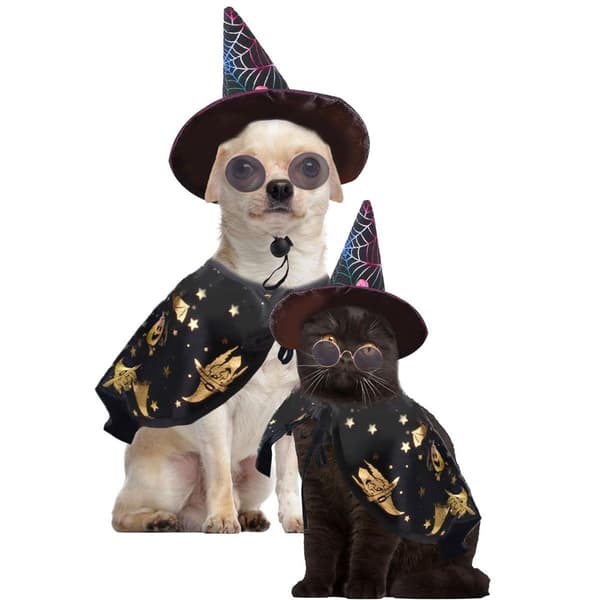 Halloween-kostumer til hunde, edderkoppe-troldmandshat og slipsesæt til hunde, KLB