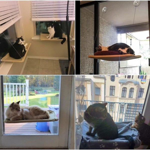 Katt Vindusseter Vindusbenk Kattehenger + Katteteppe, Solbad KLB