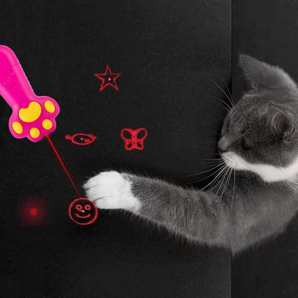 3-i-1 LED-pointer interaktivt legetøj til katte og Rose Red KLB