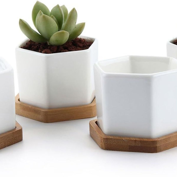Mini valkoinen kuusikulmainen keraaminen kukkaruukku Bonsai-kaktusruukku Koti