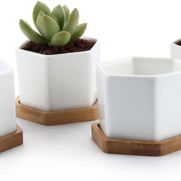 Mini vit hexagonal keramisk blomkruka Bonsai kaktus blomkruka hem