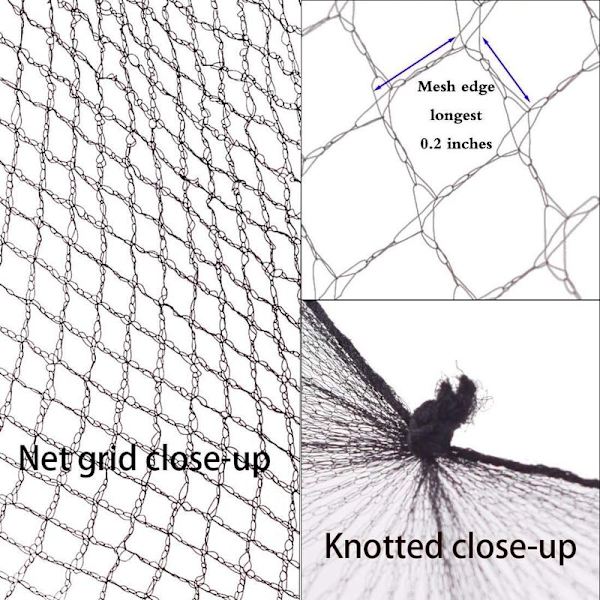 Hårnett, hårnett elastisitet usynlig elastisk mesh