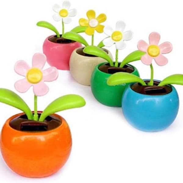 Solcellsblommiga, Solcellsblommiga, Solcellsblommiga KLB