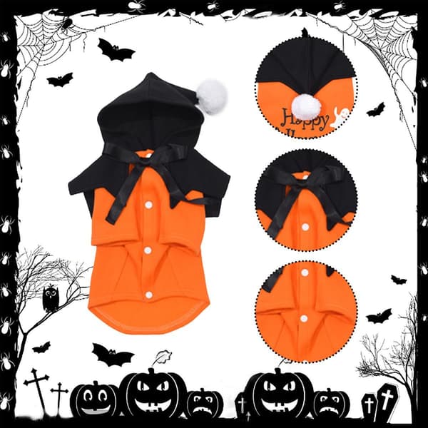 Halloween Gresskar Funky Todelt Valpe Kjole Hundeparty M