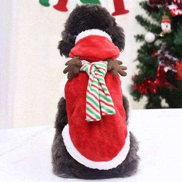 Jultomtekostym för Hundar Julkläder Varma KLB