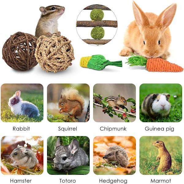 Tuggleksaker för dvärgkaniner, morotsleksaker för smådjur, marsvinsleksaker, tandvård för hamster marsvin chinchilla papegoja gerbiler råttor