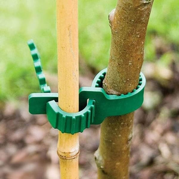 2-delad 24 cm växtstöd, robusta, mjuka gummiband, justerbar interlock G