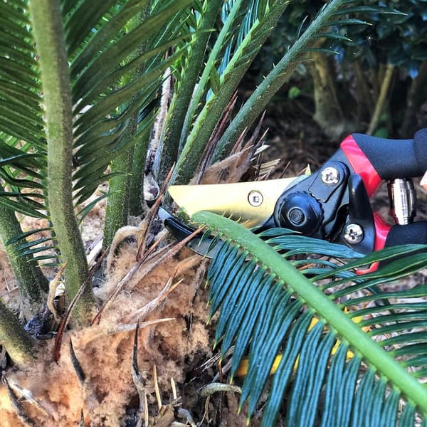 Säckare, Säckare, 7,87\" Professionell, Trädgård