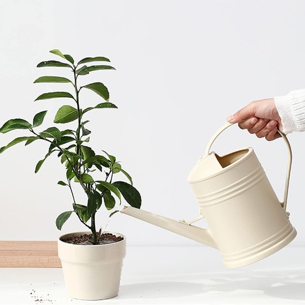Vandkande til stueplanter, små vandkander til