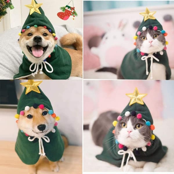 Pet Julekostume - Julecape med stjerne - S KLB