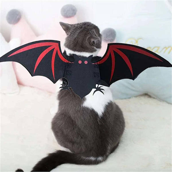 Kattkostym | Bedårande unik Halloween-kattkostym för katt kattunge valp liten hund - Husdjurskläder för små hundar och katter, (lämplig för alla katter och husdjur