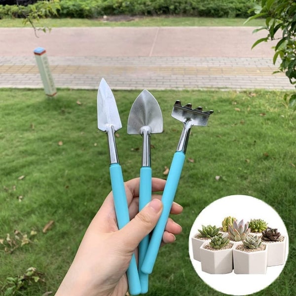 Mini puutarhatyökalusarja, 6 kpl/sarja Mini puutarhatyökalut - Miniharava, lasta