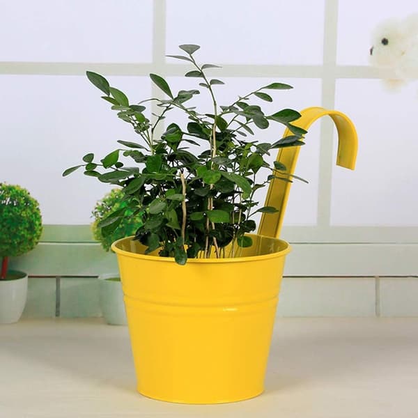 10-pack Metallhängande Planter Vas Växtkorg med