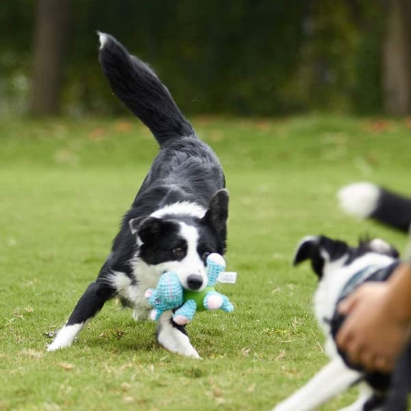 Squeaky hundelegetøj, flodhest hundelegetøj KLB