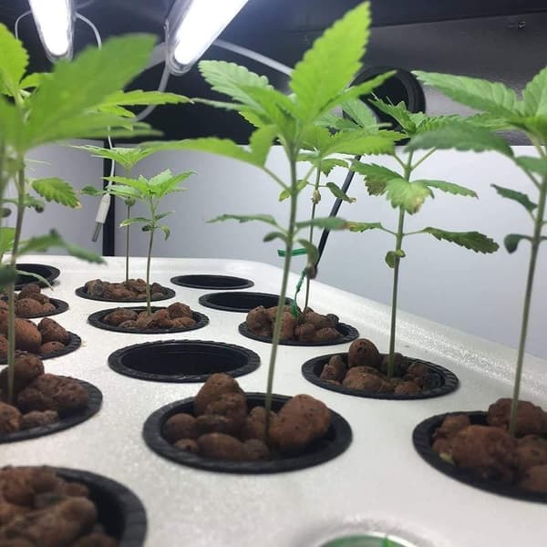 Plastik Hydroponiske Kurve Pot Genanvendelig Hydroponisk Plantning