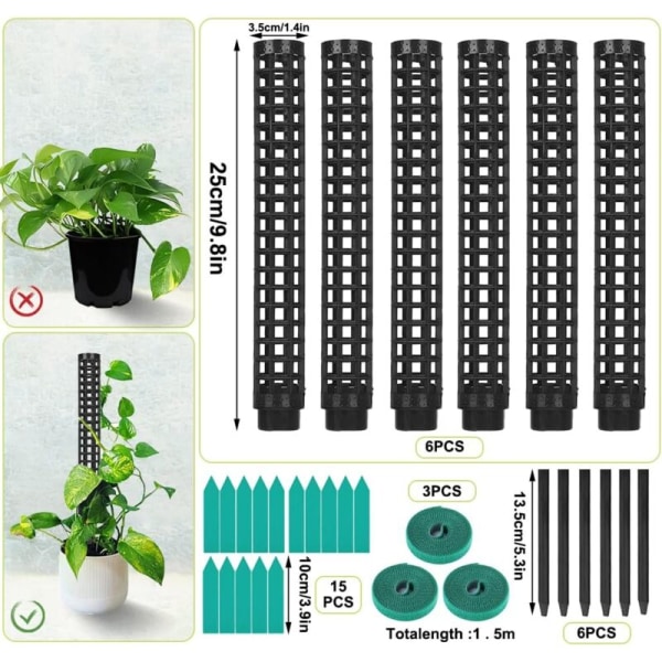 Trellis, Kasvikeppi, Sammalkeppi Monsteralle, 6 kpl, Kookospalmut, Sammalnapa, Kasvituki, Monsteran Kiipeilyapu KLB