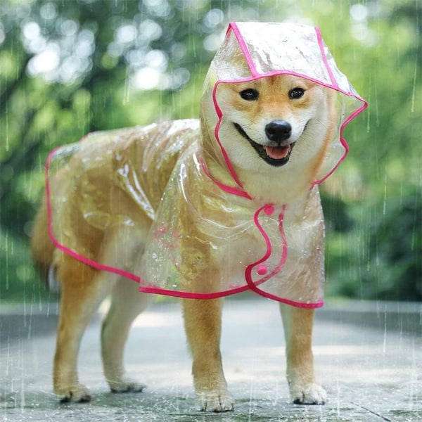 Regnfrakk for hunder og katter med hette, justerbar, PVC, gjennomsiktig, vanntett KLB