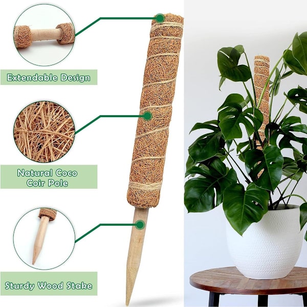 2-pack växtpinnar, kokosnötmosspinnar för växter, växtpinnar, spaljépinnar, monstera