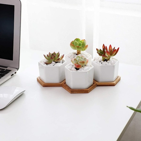Mini valkoinen kuusikulmainen keraaminen kukkaruukku Bonsai-kaktusruukku Koti